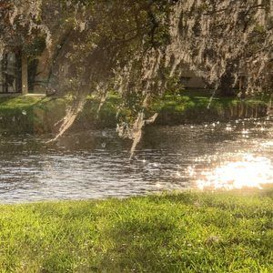 Meet your Posher, Jackdon